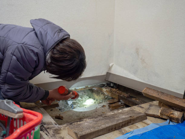 Best Forensic Mold Investigation  in Hudson, NY