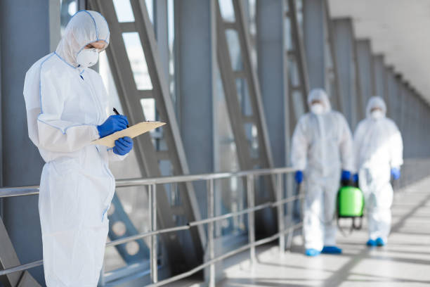 Best Mold Odor Removal Services  in Hudson, NY