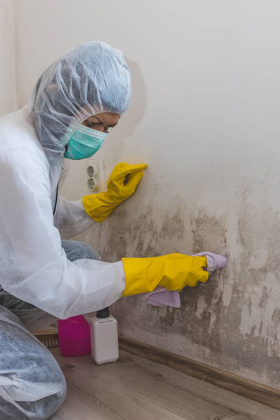 Best Dehumidification Services  in Hudson, NY