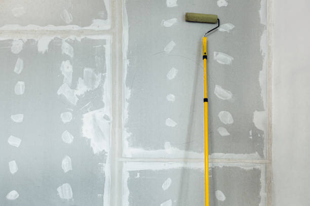 Best Mold Documentation for Insurance Claims  in Hudson, NY