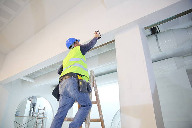 Best Real Estate Mold Inspection  in Hudson, NY