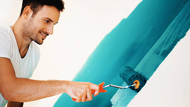 Best Attic Mold Removal  in Hudson, NY